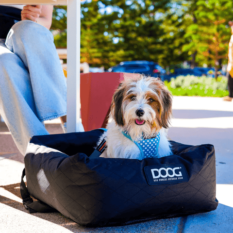 DOOG Dog Car Seat