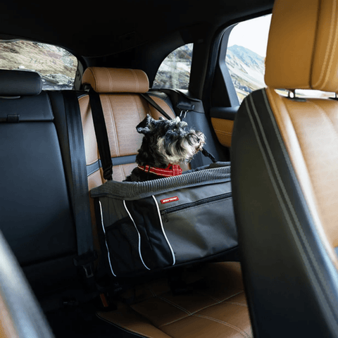 EzyDog Car Booster Seat