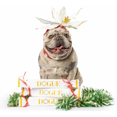 Meet the 12 DOGUEs of Christmas