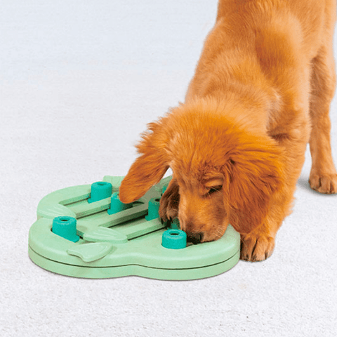 Hide and Slide Dog Puzzle