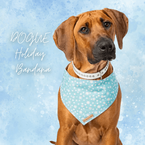 holiday dog gift guide | dog bandana