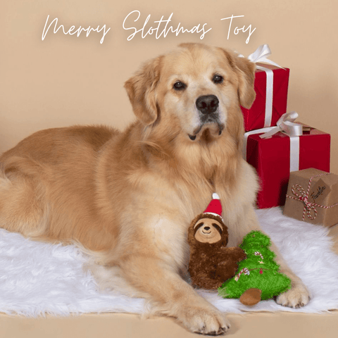 holiday dog gift guide | sloth dog toy