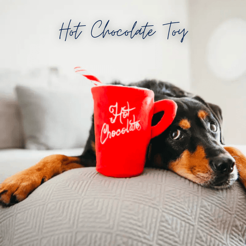 holiday dog gift guide | Hot chocolate dog toy