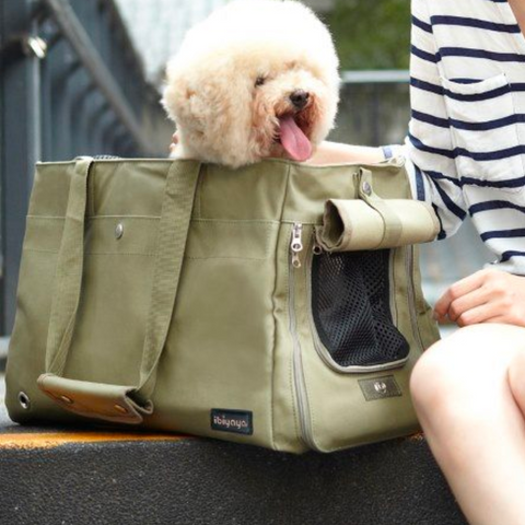 Ibiyaya Canvas Pet Tote Carrier