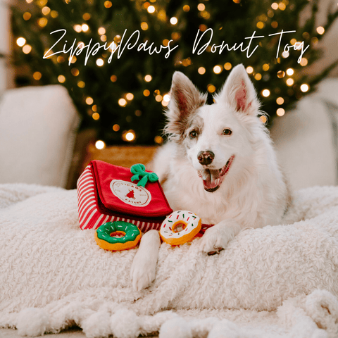 holiday dog gift guide | zippy paws dog toy