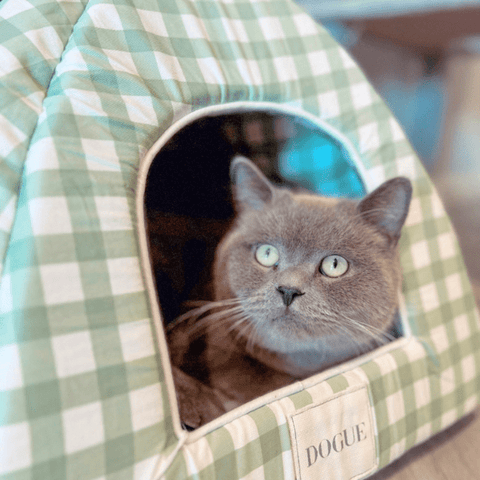 DOGUE Gingham Cat Bed