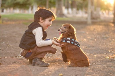 Puppy play time