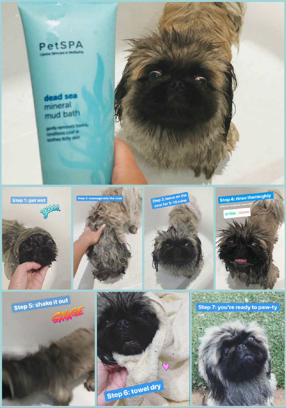 Pet Spa Mineral Mud Treatment