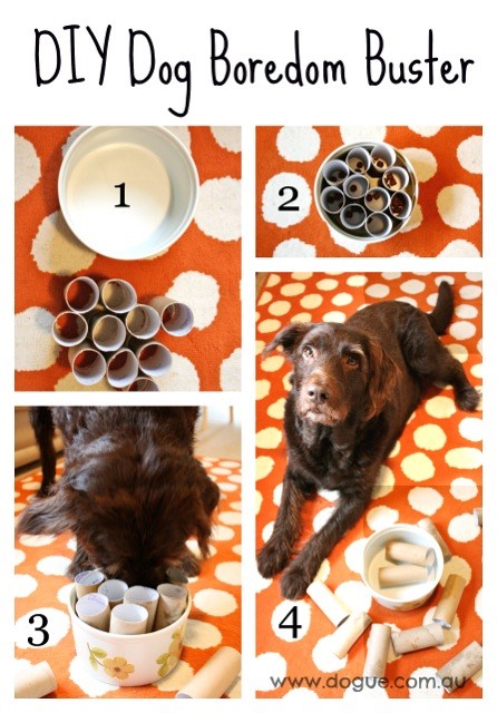 DIY Dog Boredom Busters