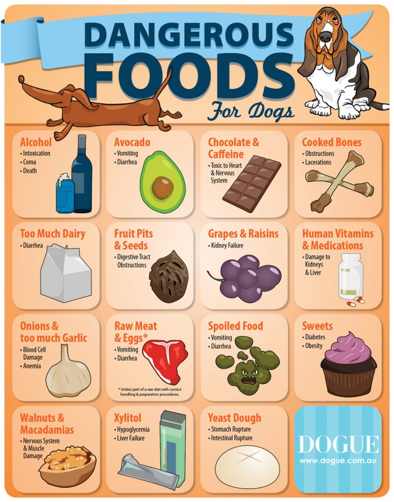 Dangerous Foods for dogs