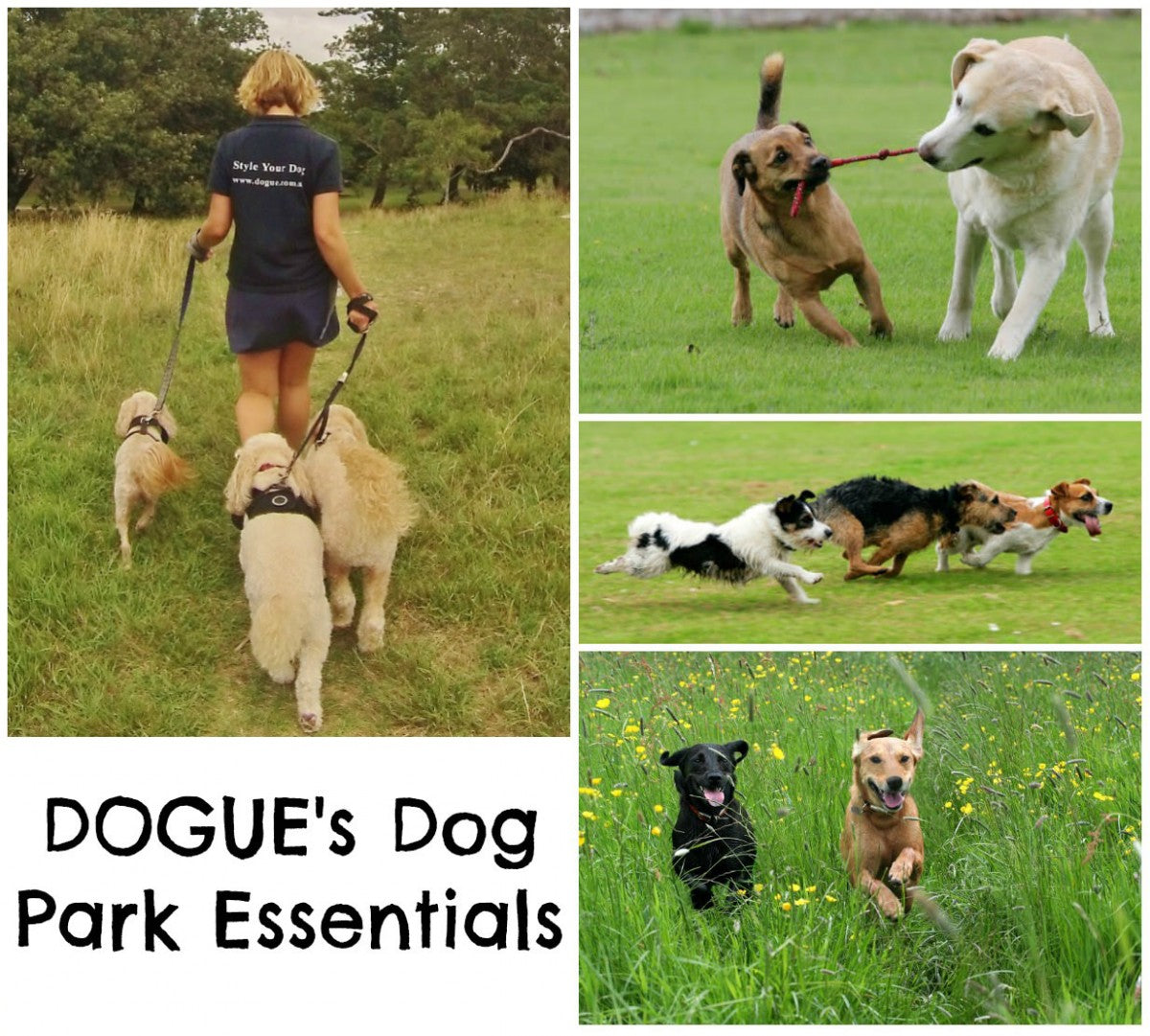 Dogues-Dog-Park-Essential-7_mini