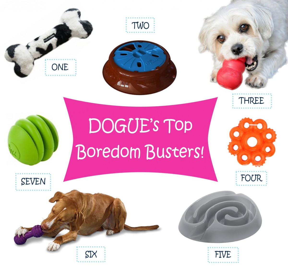 Staff Picks - Boredom Busters for Dogs and Cats