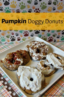 Pumkin Doggy Donuts