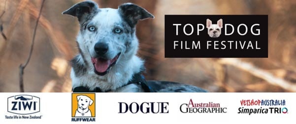 Top Dog Film Festival