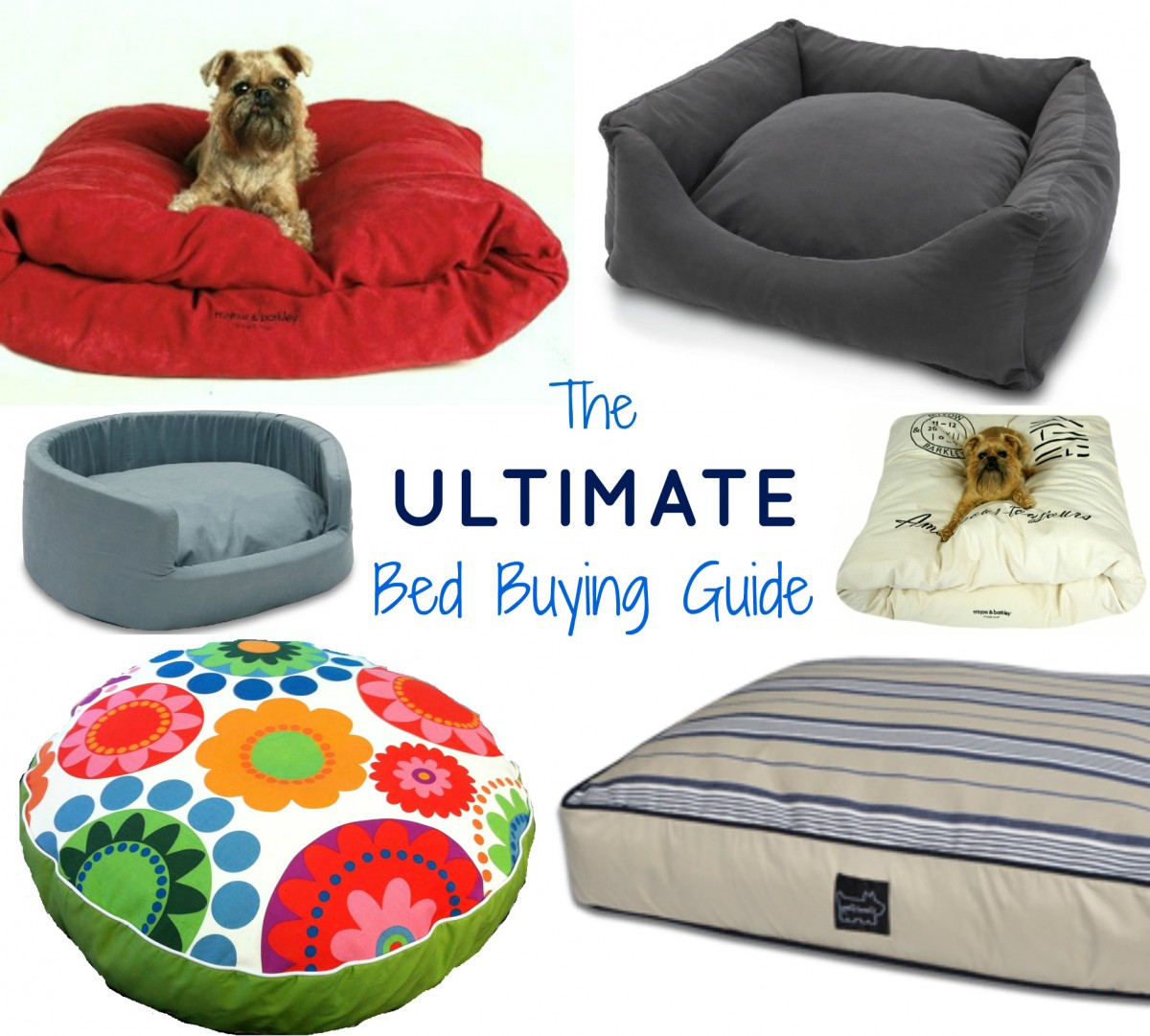 Ultimate buying guide for dog beds