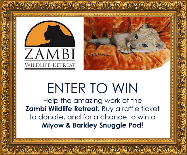 zambi-wildlife-retreat-competition