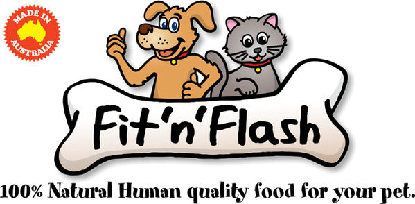 fit n flash logo