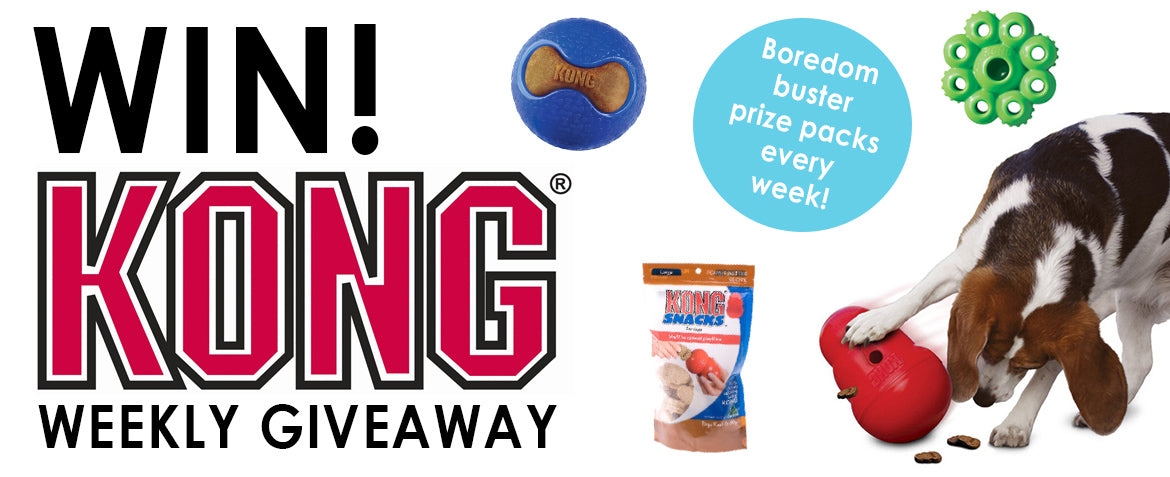 kong giveaway_simple_banner photo