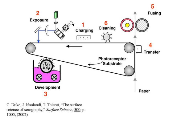 Un diagramme montrant le processus d'impression par xérographie avec de l'encre toner