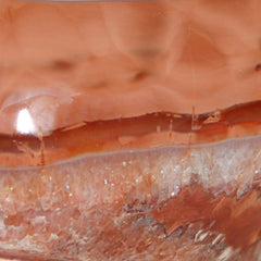 Carnelian Rock Professor Image