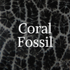 Coral Fossil Rock Professor Information
