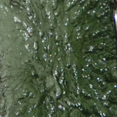 Moldavite Rock Professor Image