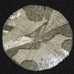 Pyrite Dollar Pyrite Sun Rock Professor Image