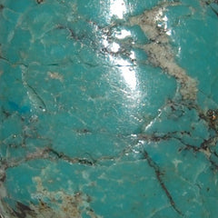 Turquoise Rock Professor Image