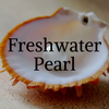 Freshwater Pearl Rock Professor Information