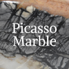 Picasso Marble Rock Professor Information
