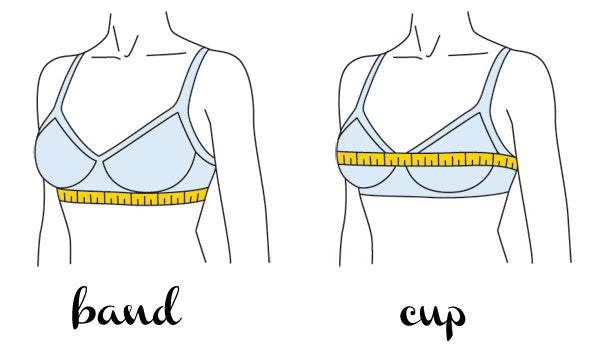 How to Measure Your Bra Size: A Comprehensive Guide To Perfect Bra Fit -  HauteFlair