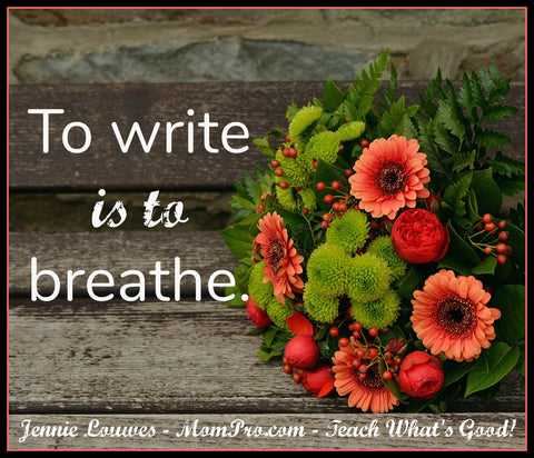 Why Write? - Word Over-lay by Jennie Louwes