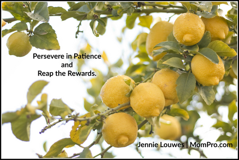 Perseverance - Image Provided by Hey Louise via Morgue File - Word Overlay by Jennie Louwes