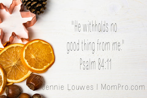 Psalm 84:11 - Image Modified by Jennie Louwes - Photo Provided by Joanna Kosinka - Freely Photo's