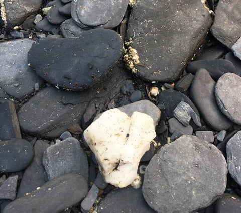 Heart Shaped Rocks - Juneau, Alaska - Image Provided by Janet Henderson