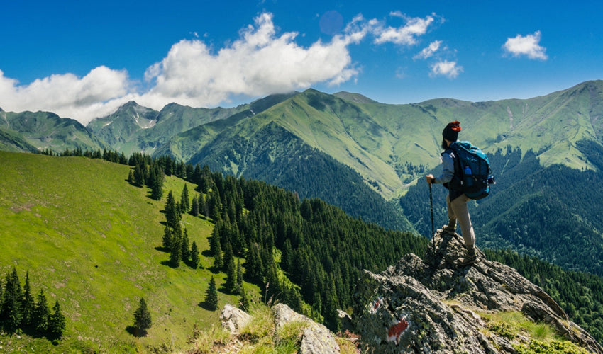 Male hiker looking off into the distance at mountains and forest from a rocky precipice