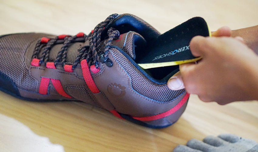 A person removing the insole from a pair of Xero DayLite Hiker EV hiking boots