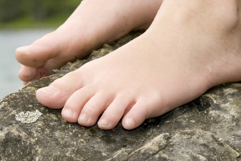 Is the little toe a vestigial structure? Why or why not?