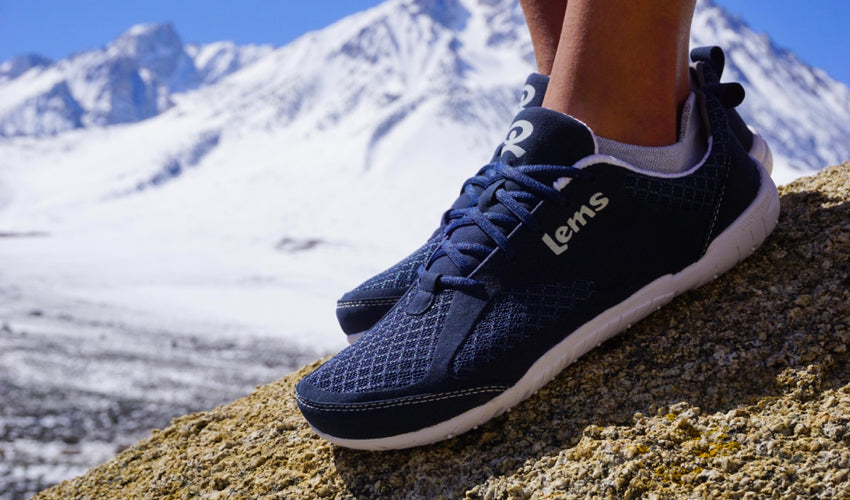 A pair of Lems Primal 2 Eclipse shoes with snowy mountains in the background