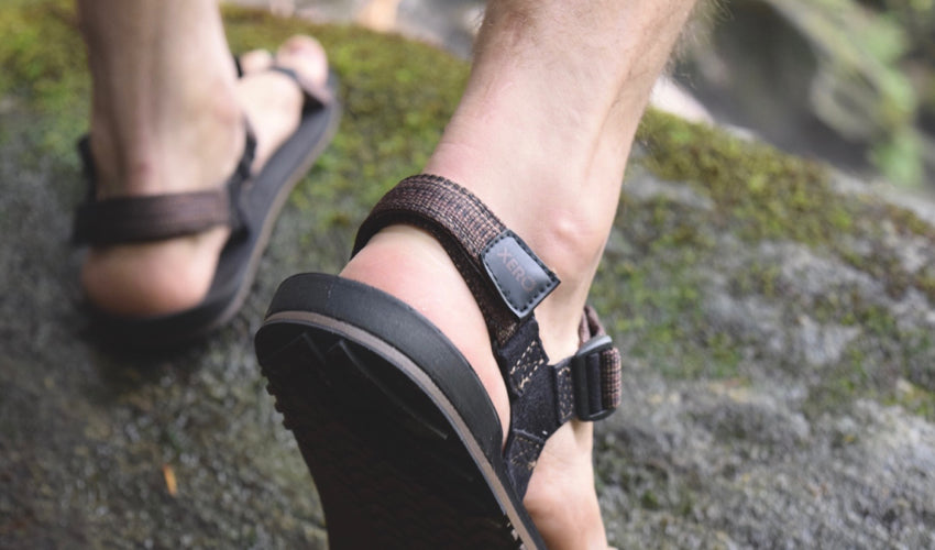 Shot from behind showing the heel strap of a pair of Xero Z-Trail sports sandals