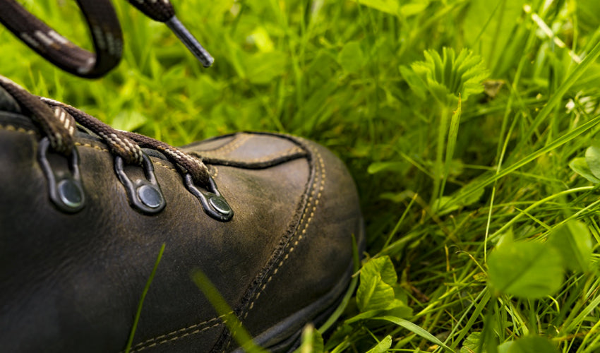 Close up view of the side of a conventional hiking boot surrounded by grass