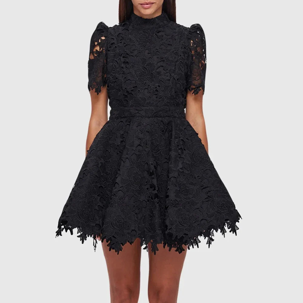 Elegant Lace A-Line Dress with Stand Collar for Women