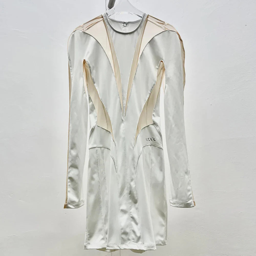 Slimming Sheer Mesh Bodycon Mini Dress for Women