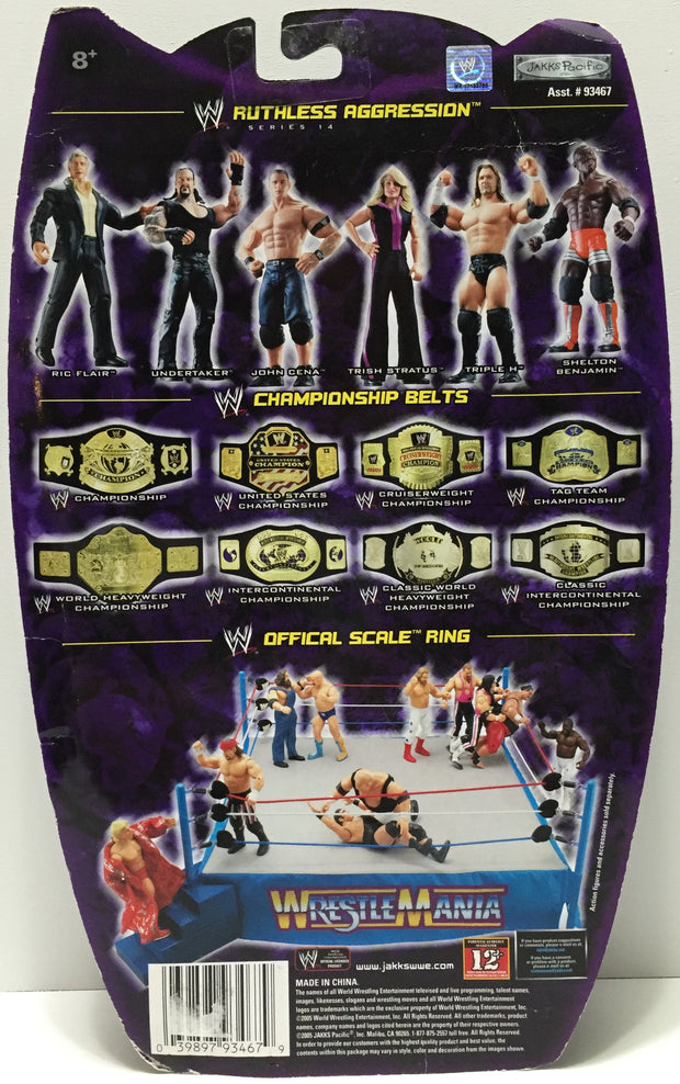 2005 jakks pacific wwe