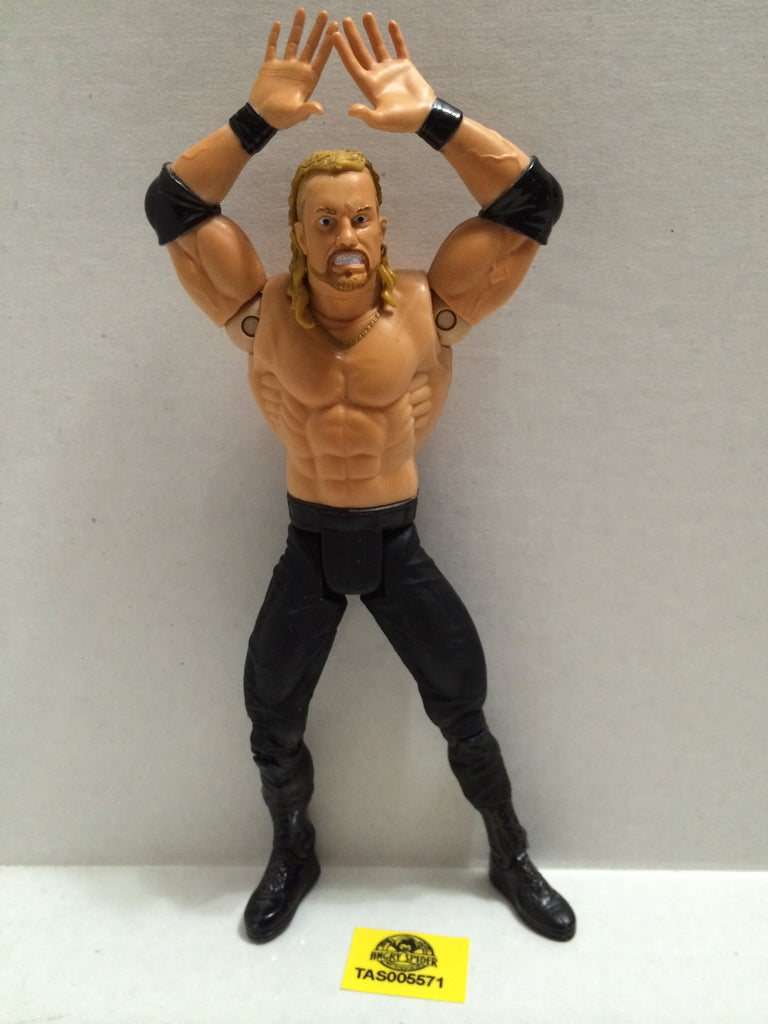 diamond dallas page action figure