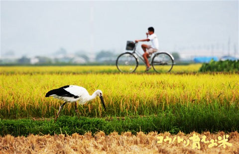 Kounotori Organic Japanese Rice