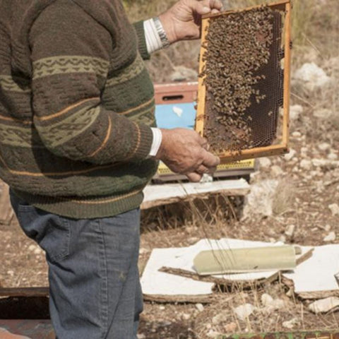 Taygetou Raw Honey with Honeycomb - 460g