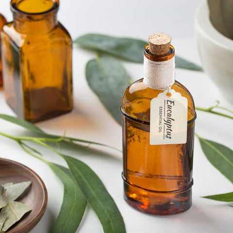 EUCALYPTUS ESSENTIAL OIL- BENEFITS, USES, AND ORIGIN