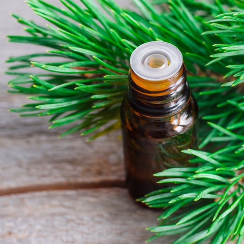 SIBERIAN FIR ESSENTIAL OIL- BENEFITS, USES, AND ORIGIN