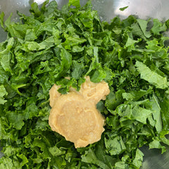 Kale Salad with Tahini Miso Dressing